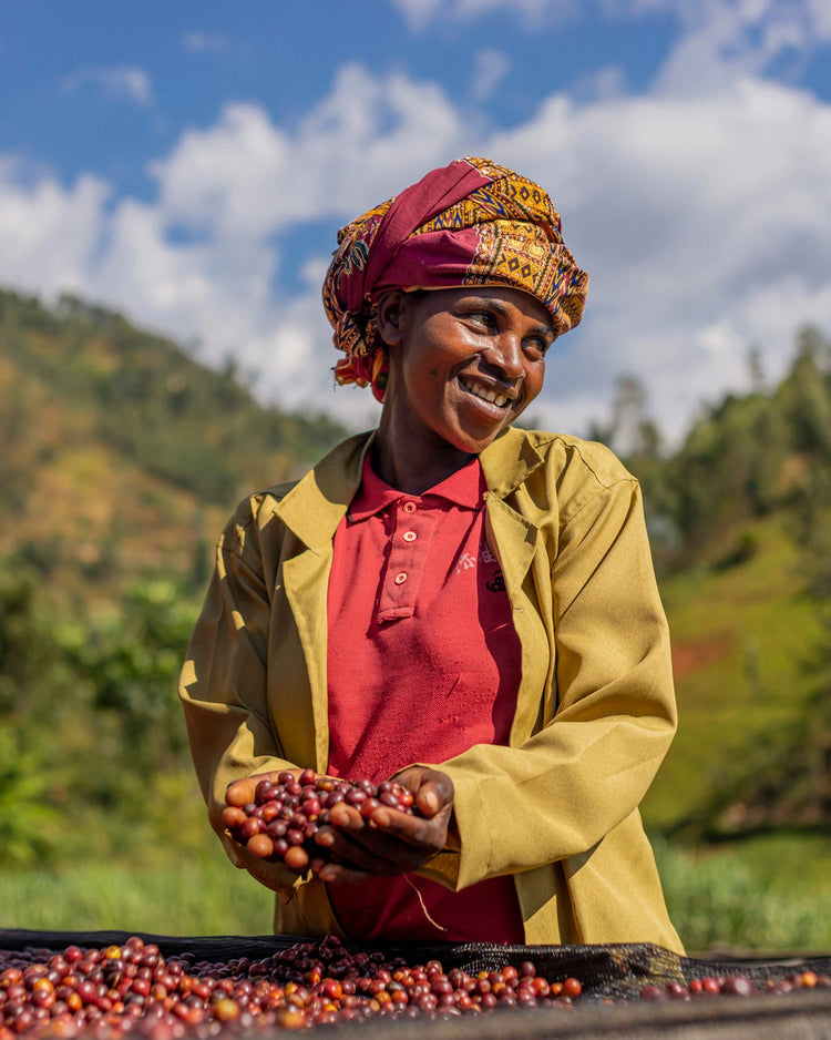 Specialty organic coffee from Gashura