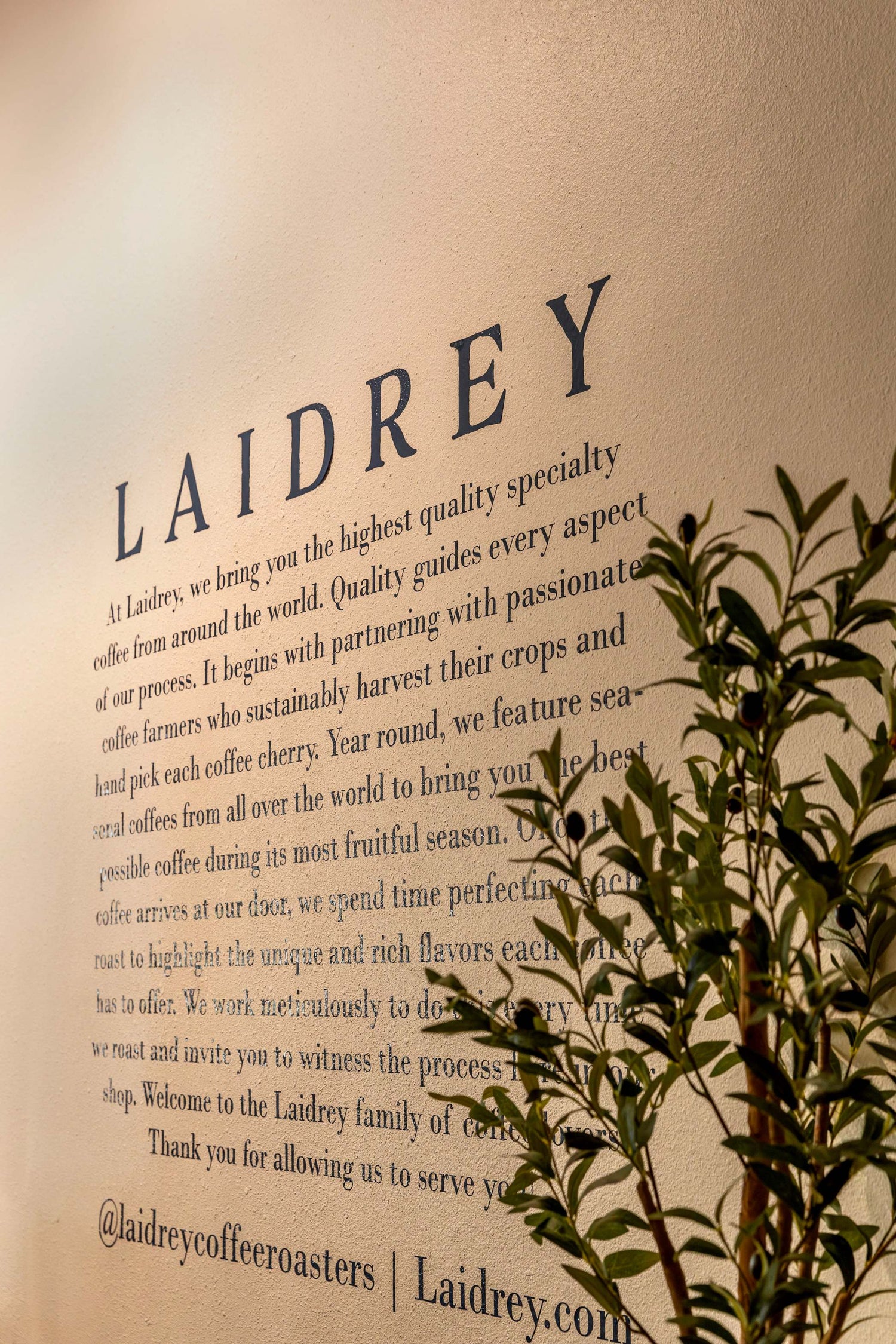 Laidrey Agoura Hills Coffee Shop - Coffee Roasters 